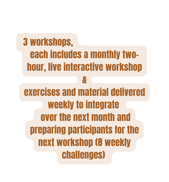 3 workshops each includes a monthly two hour live interactive workshop exercises and material delivered weekly to integrate over the next month and preparing participants for the next workshop 8 weekly challenges